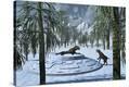 Stretched Canvas Print