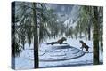 Stretched Canvas Print