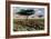 A Pair of Sabre-Toothed Cats Resting under a Treat on a Hot Day-null-Framed Art Print