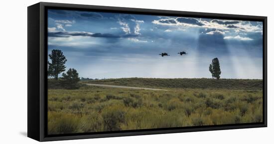 A Pair Of Sandhill Cranes Fly Over The Teton Park Road-Bryan Jolley-Framed Stretched Canvas