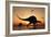 A Pair of Spinosaurus Hunting for Fish-Stocktrek Images-Framed Art Print