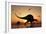 A Pair of Spinosaurus Hunting for Fish-Stocktrek Images-Framed Art Print