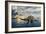 A Pair of Spinosaurus Hunting for Fish-Stocktrek Images-Framed Art Print