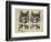 A Pair of Toff Toms-Louis Wain-Framed Giclee Print