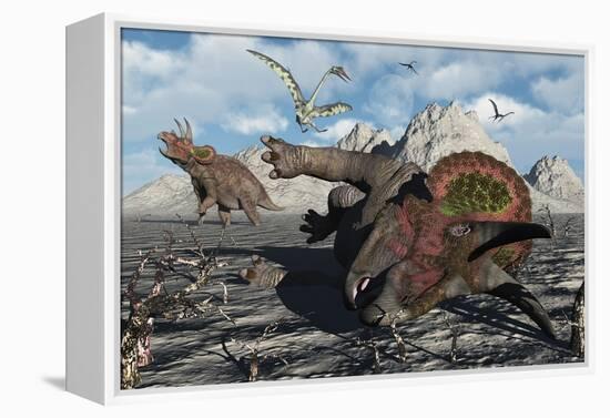 A Pair of Triceratops Trapped in a Deadly Mud Pit-null-Framed Stretched Canvas