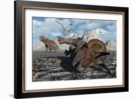 A Pair of Triceratops Trapped in a Deadly Mud Pit-null-Framed Art Print