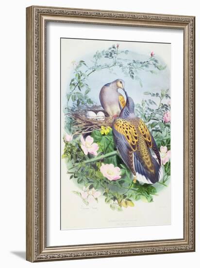 A Pair of Turtle Doves-Edouard Travies-Framed Giclee Print