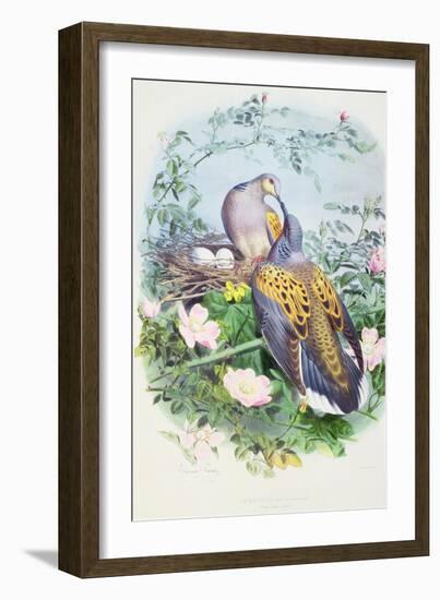 A Pair of Turtle Doves-Edouard Travies-Framed Giclee Print