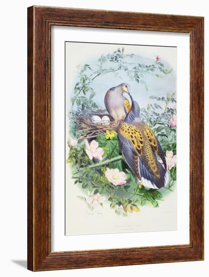 A Pair of Turtle Doves-Edouard Travies-Framed Giclee Print