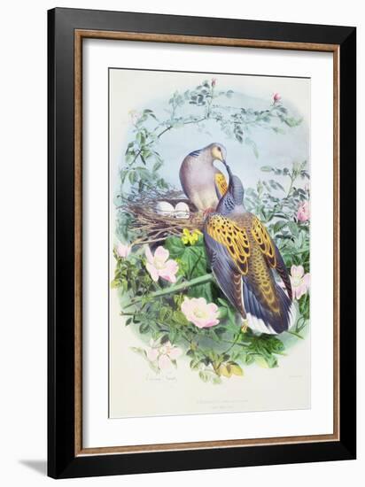 A Pair of Turtle Doves-Edouard Travies-Framed Giclee Print