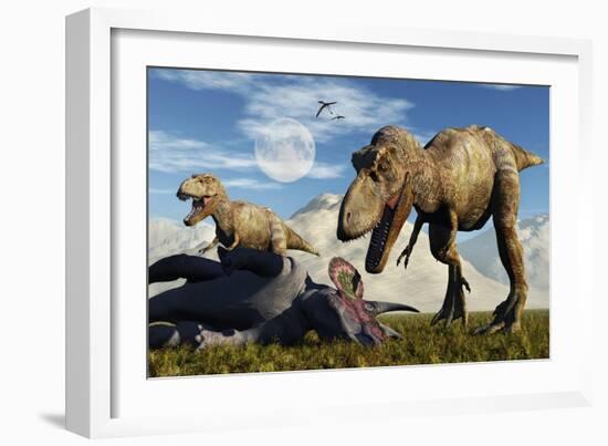 A Pair of Tyrannosaurus Rex Dinosaurs Ready to Make a Meal of a Dead Triceratops-Stocktrek Images-Framed Premium Giclee Print