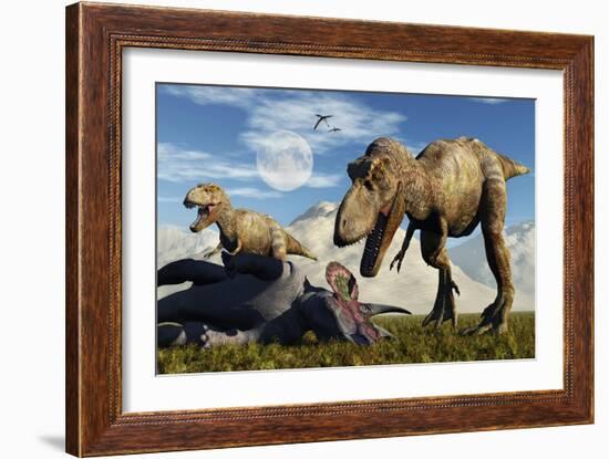 A Pair of Tyrannosaurus Rex Dinosaurs Ready to Make a Meal of a Dead Triceratops-Stocktrek Images-Framed Art Print