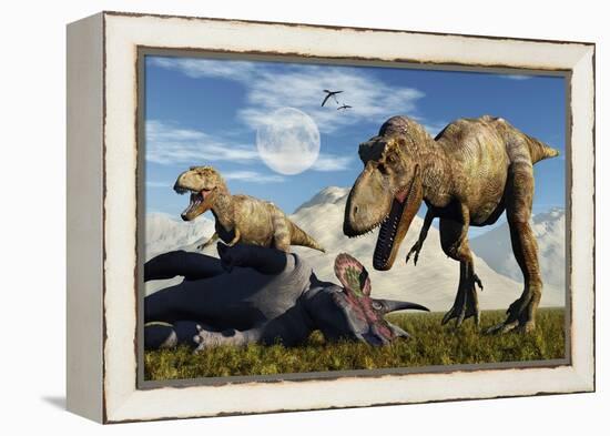 A Pair of Tyrannosaurus Rex Dinosaurs Ready to Make a Meal of a Dead Triceratops-Stocktrek Images-Framed Stretched Canvas