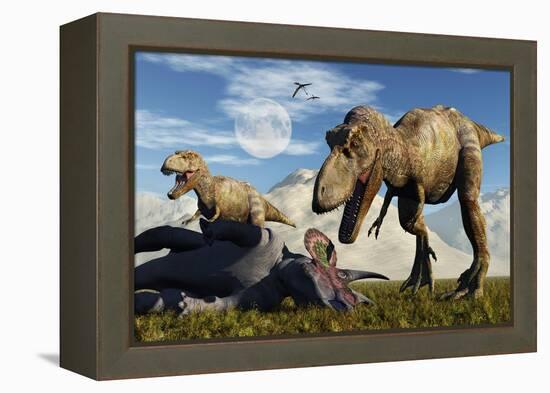 A Pair of Tyrannosaurus Rex Dinosaurs Ready to Make a Meal of a Dead Triceratops-Stocktrek Images-Framed Stretched Canvas