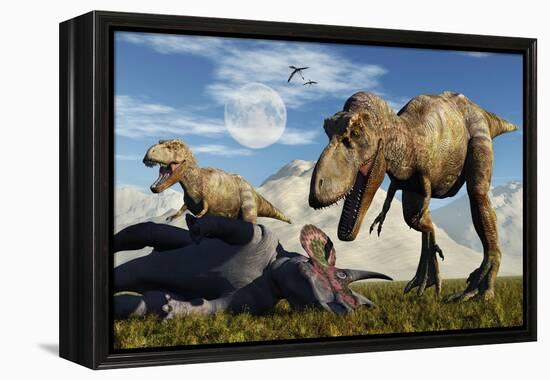 A Pair of Tyrannosaurus Rex Dinosaurs Ready to Make a Meal of a Dead Triceratops-Stocktrek Images-Framed Stretched Canvas