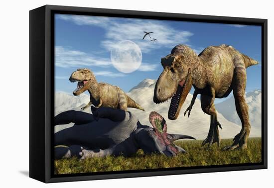 A Pair of Tyrannosaurus Rex Dinosaurs Ready to Make a Meal of a Dead Triceratops-Stocktrek Images-Framed Stretched Canvas