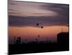 Premium Photographic Print