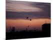 Photographic Print