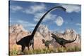 Stretched Canvas Print