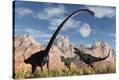 Stretched Canvas Print