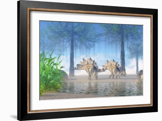 A Pair Stegosaurus Walking Near a Pond on a Jurassic Misty Morning-Stocktrek Images-Framed Art Print