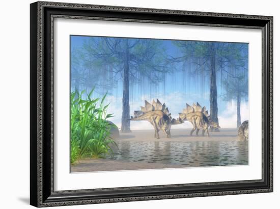 A Pair Stegosaurus Walking Near a Pond on a Jurassic Misty Morning-Stocktrek Images-Framed Art Print