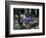 A Pakistani Barber Gives a Haircut and Beard Trim to a Customer-null-Framed Photographic Print