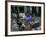 A Pakistani Barber Gives a Haircut and Beard Trim to a Customer-null-Framed Photographic Print