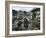 A Pakistani Earthquake Survivor Shivers-null-Framed Photographic Print