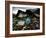 A Pakistani Earthquake Survivor Takes Shelter from the Rain-null-Framed Photographic Print