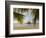 A Palapa and Sandy Beach, Placencia, Belize-William Sutton-Framed Photographic Print