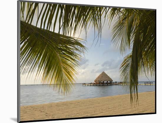 A Palapa and Sandy Beach, Placencia, Belize-William Sutton-Mounted Photographic Print