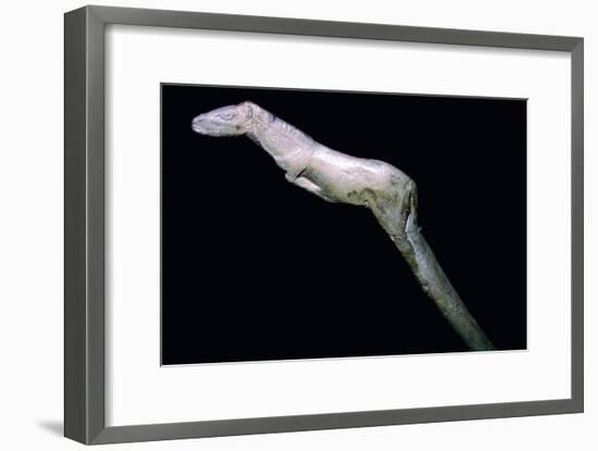 A paleolithic carved bone horse. Artist: Unknown-Unknown-Framed Giclee Print