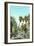 A Palm Canyon in California-null-Framed Premium Giclee Print