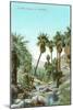 A Palm Canyon in California-null-Mounted Art Print