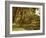 A palm grove on Elephantine Island, Egypt-English Photographer-Framed Giclee Print