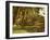 A palm grove on Elephantine Island, Egypt-English Photographer-Framed Giclee Print