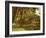 A palm grove on Elephantine Island, Egypt-English Photographer-Framed Giclee Print