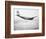 A Pan Am Clipper in Flight-null-Framed Photographic Print