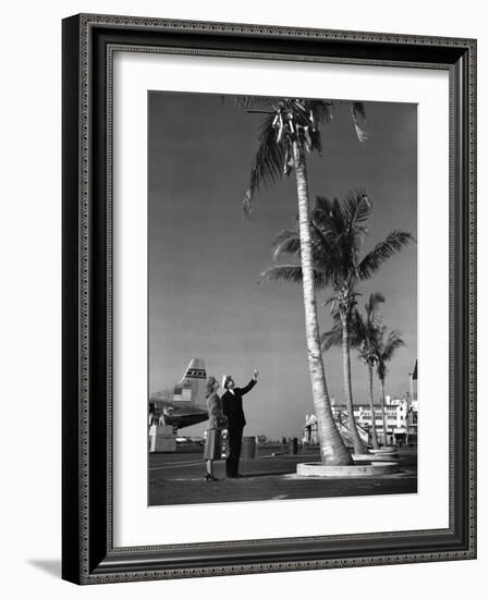 A Pan American Pilot and Flight Attendant the Edge of the Tarmac at Miami International Airport-null-Framed Photographic Print