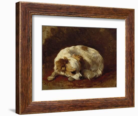 A Papillon-Henriette Ronner-Knip-Framed Giclee Print