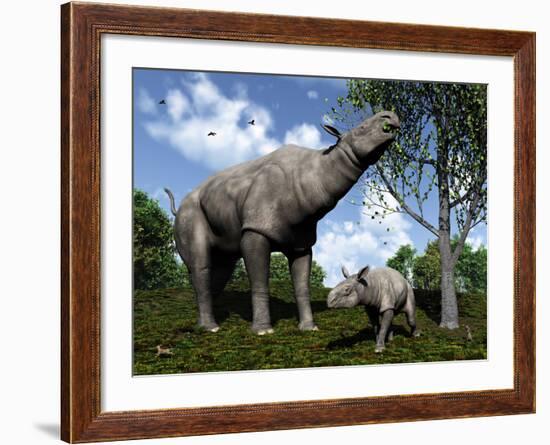 A Paraceratherium Mother Grazes on Leaves and Twigs of a Poplar Tree-Stocktrek Images-Framed Photographic Print