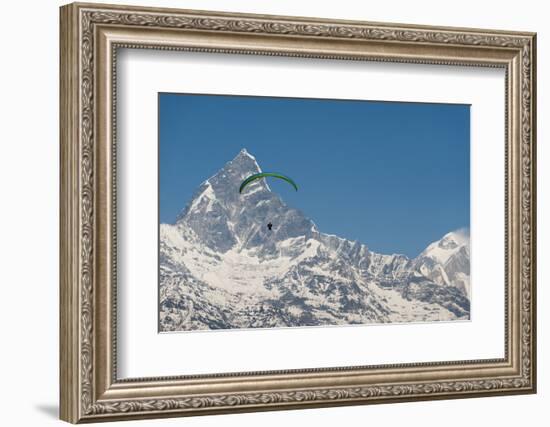 A Paraglider Hangs in Air with Dramatic Peak of Machapuchare (Fishtail Mountain) in Distance-Alex Treadway-Framed Photographic Print