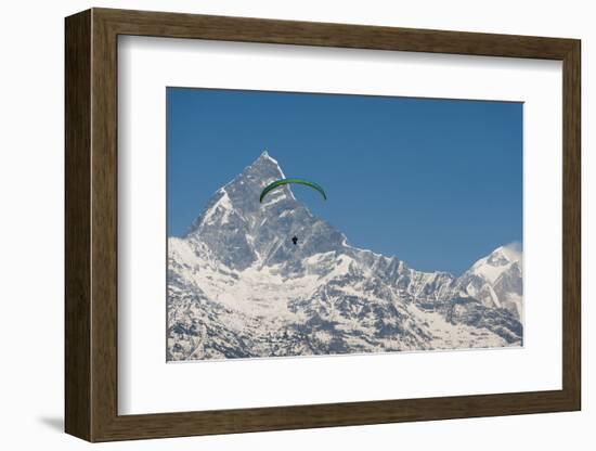 A Paraglider Hangs in Air with Dramatic Peak of Machapuchare (Fishtail Mountain) in Distance-Alex Treadway-Framed Photographic Print