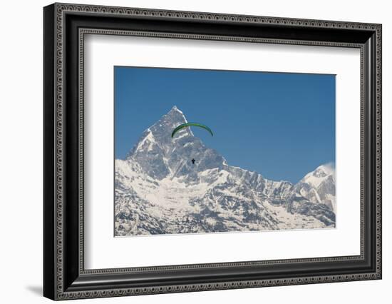 A Paraglider Hangs in Air with Dramatic Peak of Machapuchare (Fishtail Mountain) in Distance-Alex Treadway-Framed Photographic Print