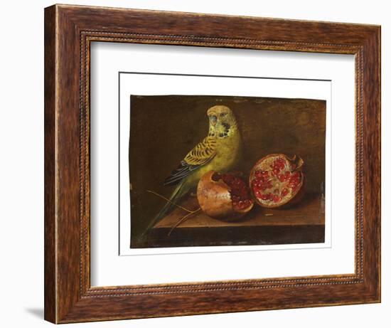 A Parakeet and a Pomegranate on a Ledge (Oil on Copper)-French School-Framed Giclee Print