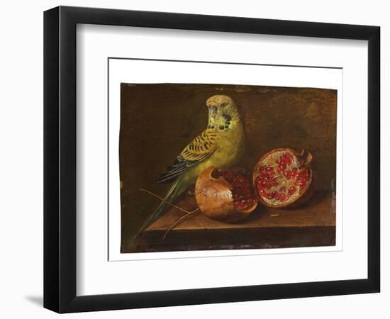 A Parakeet and a Pomegranate on a Ledge (Oil on Copper)-French School-Framed Giclee Print