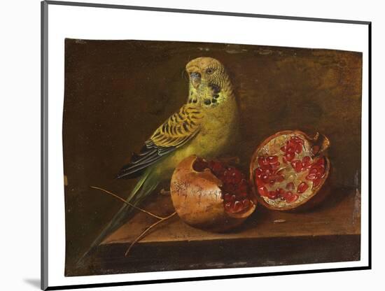 A Parakeet and a Pomegranate on a Ledge (Oil on Copper)-French School-Mounted Giclee Print