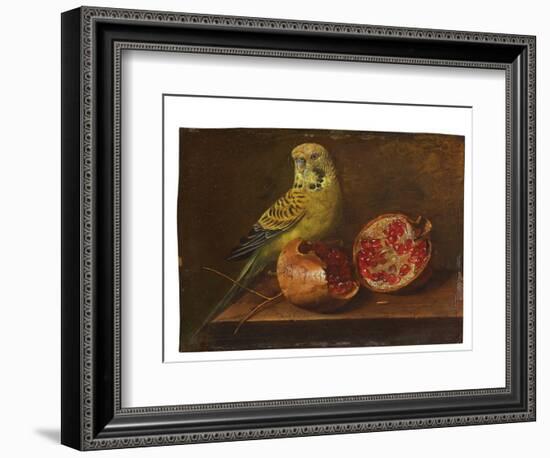 A Parakeet and a Pomegranate on a Ledge (Oil on Copper)-French School-Framed Giclee Print