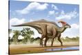 Stretched Canvas Print